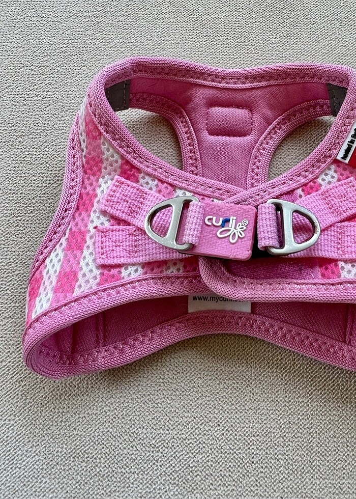 MyCurli köpek tasması - Görsel 4