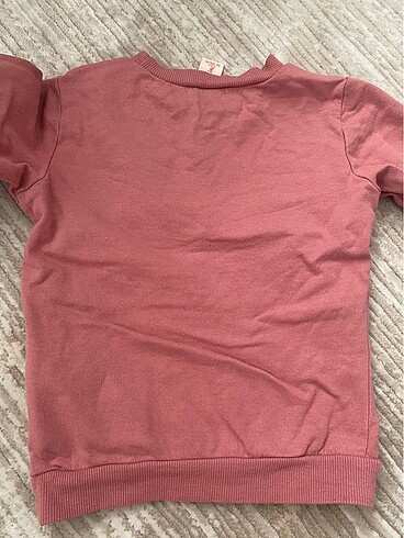 4 Yaş Beden çeşitli Renk Koton Sweatshirt