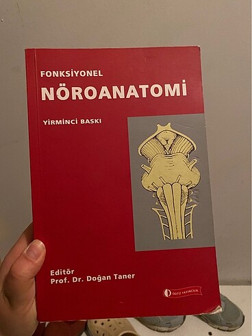 DOĞAN TANER NÖROANATOMİ