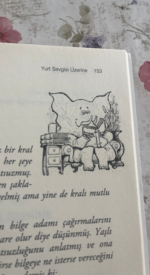 Şu Hortumlu Dünyada Fil Yalnız Bir Hayvandır - Görsel 3