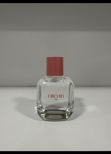 Zara Orchid 