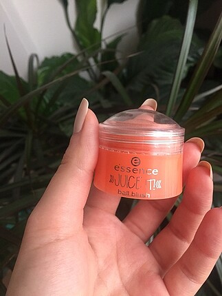 essence allık