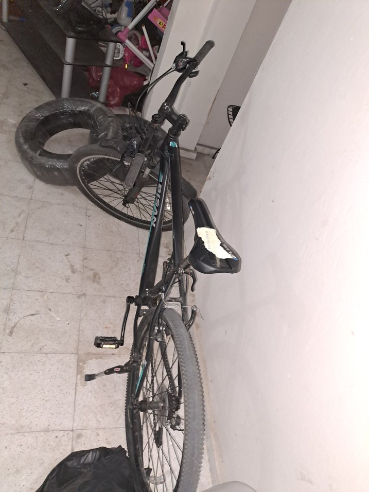 Bisan Bisiklet - Görsel 2