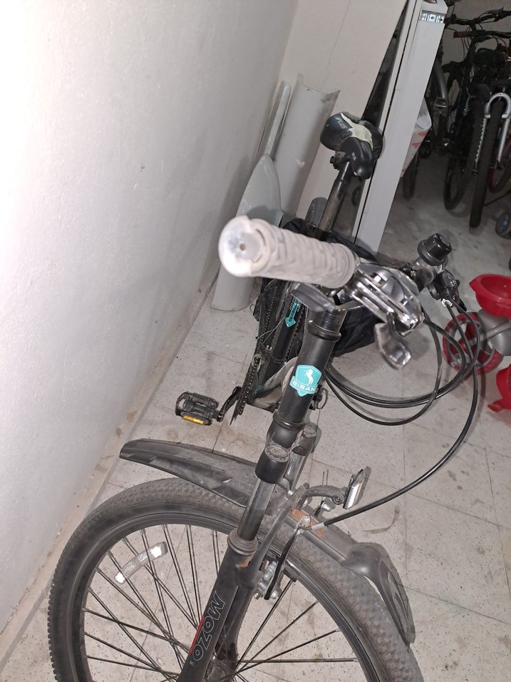 Bisan Bisiklet - Görsel 3