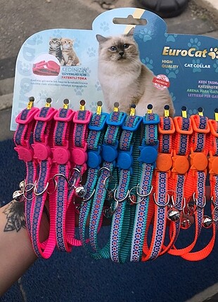 Kedi tasması 1 adet 