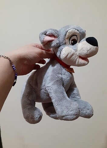 Beden Pelus köpek