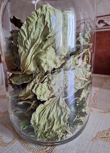 Kurutulmuş Damar otu. (Sinir otu)