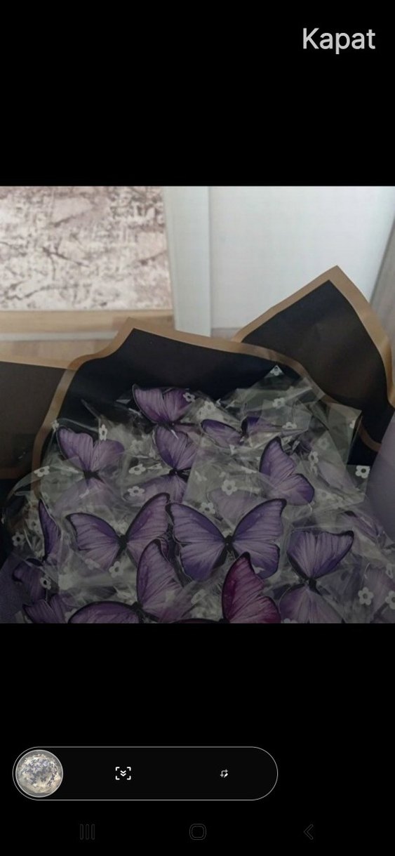 Mor Kelebek Desenli Şeffaf Aksesuar - Görsel 2