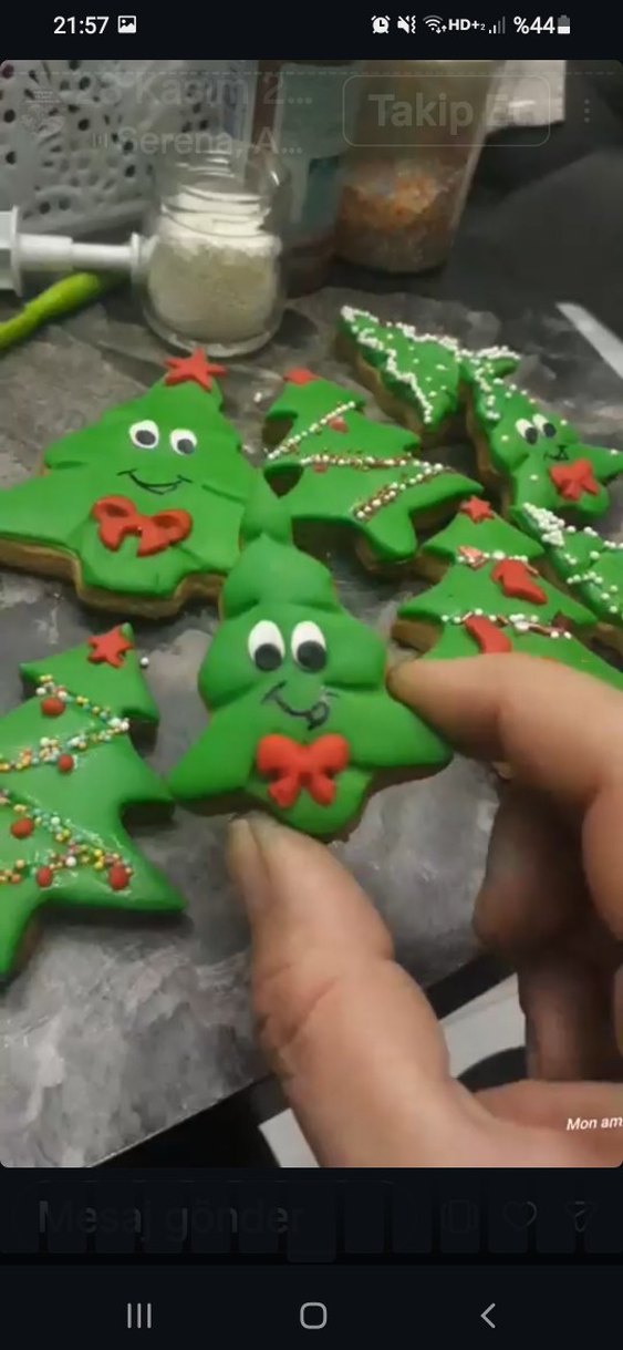 yılbaşı kurabiyesi tane 50 tl - Görsel 3