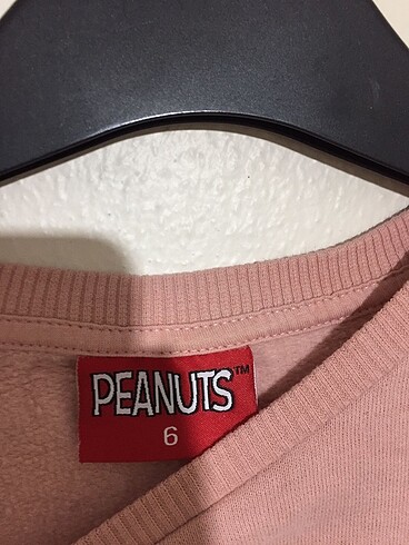 Peanuts Peanuts Sweatshirt