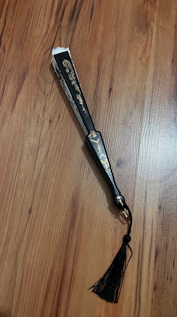 Yelpaze El fanı YENİ - Görsel 5