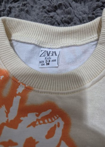 5 Yaş Beden çeşitli Renk Çocuk Pastel Renkli Desenli zara Takım