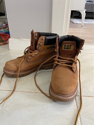 Cat Cat bot