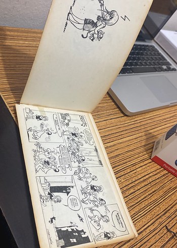 Çılgın Bediş özden öğrük - Görsel 2