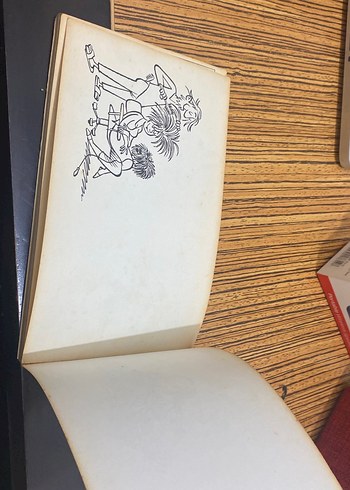 Çılgın Bediş özden öğrük - Görsel 7