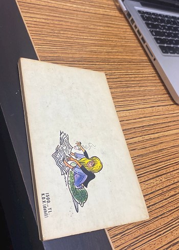 Çılgın Bediş özden öğrük - Görsel 6