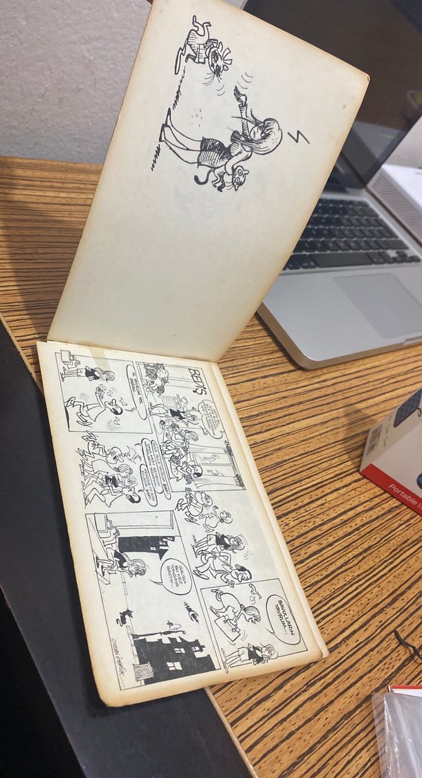 Çılgın Bediş özden öğrük - Görsel 2