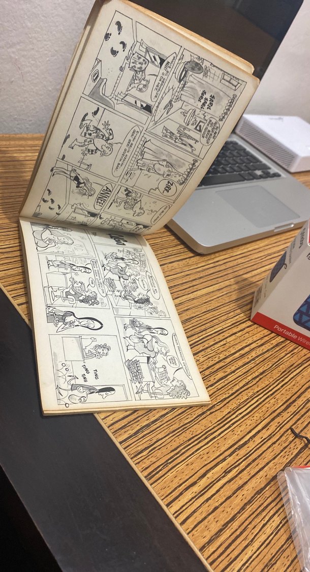 Çılgın Bediş özden öğrük - Görsel 4