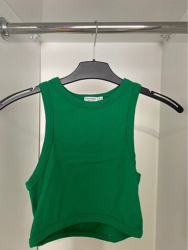 Stradivarius stradivarius crop