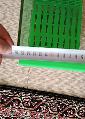  Beden Renk Su Kaplumbağası Rampası