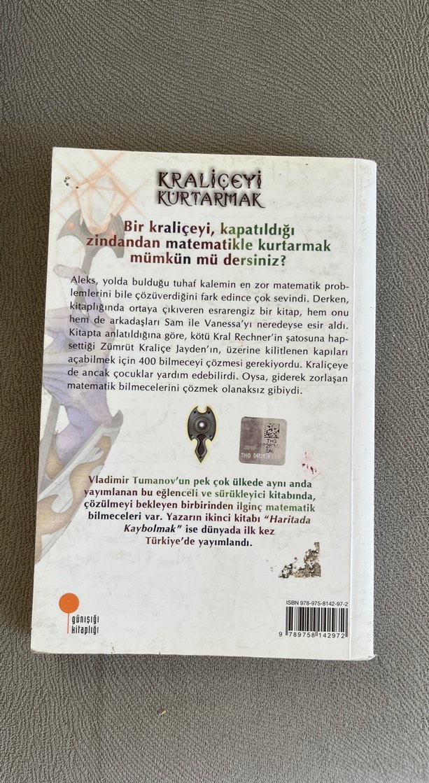 Kraliceyi Kurtarmak - Vladimir Tumanov - Görsel 2