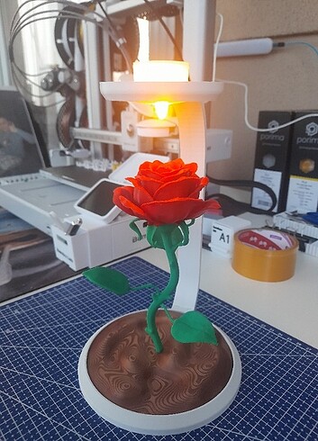 Beden 3d dekor