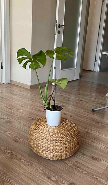 Ikea Hasır Su Sümbülü Puf Orta Boy