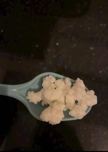 Kefir mayası - Görsel 2