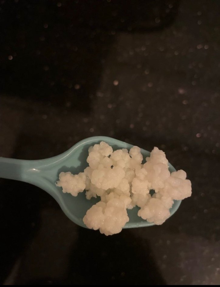 Kefir mayası - Görsel 2