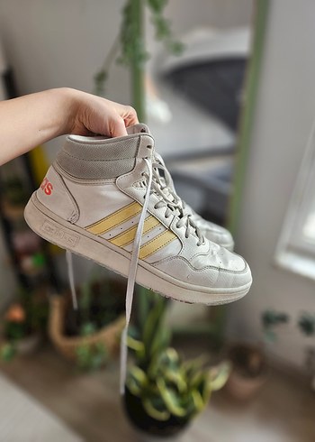 Adidas 43