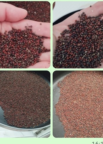 Turuncu Kabak ve Tohumları Puzzle - Görsel 5