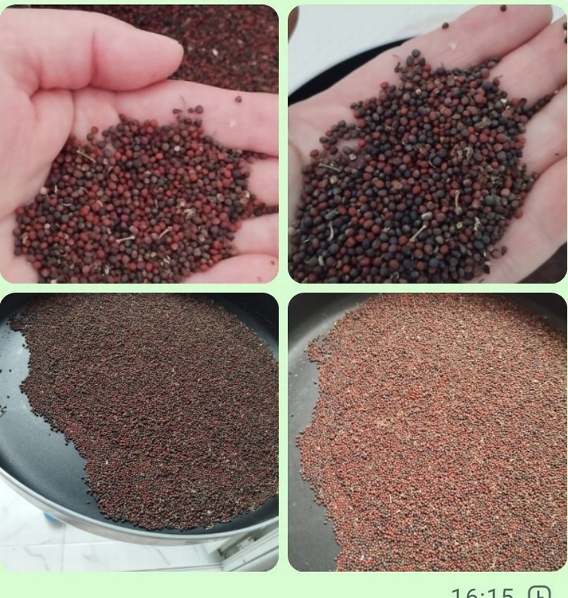 Turuncu Kabak ve Tohumları Puzzle - Görsel 5