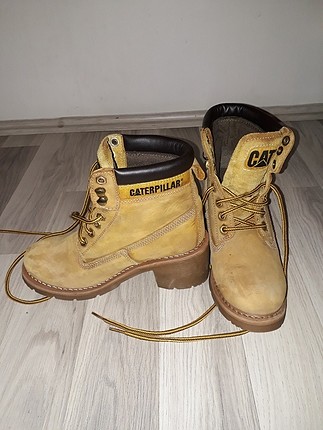 orjinal cat
