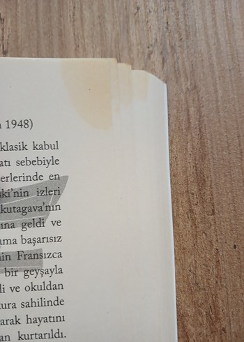 Öğrenci Kız - Osamu Dazai - Görsel 3