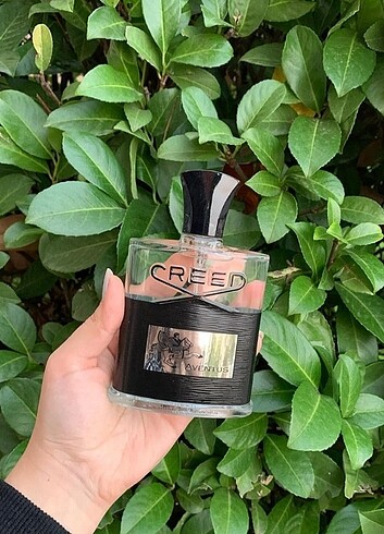 Creed aventus 