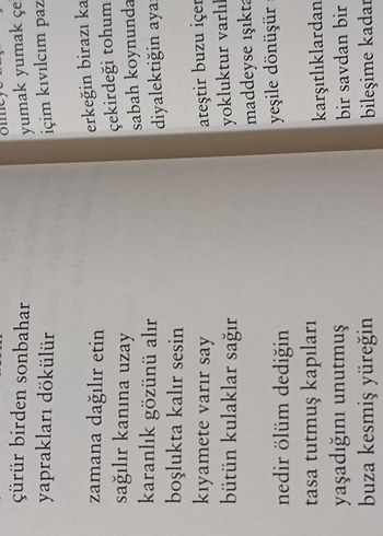 Attilâ İlhan - Böyle Bir Sevmek Şiir Kitabı - Görsel 5