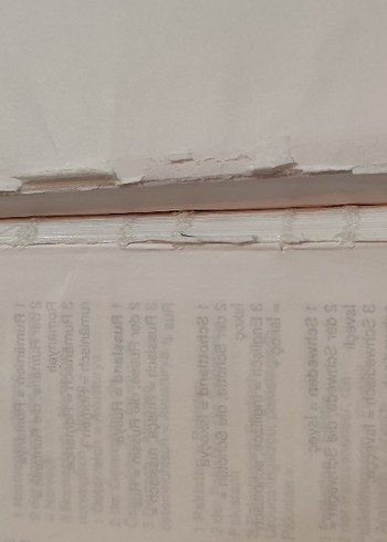 Fono Almanca Modern Sözlük Kalın Kabuk - Görsel 6