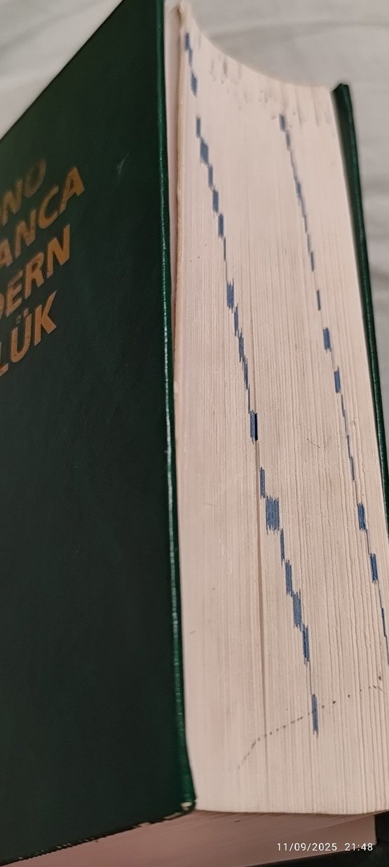 Fono Almanca Modern Sözlük Kalın Kabuk - Görsel 2