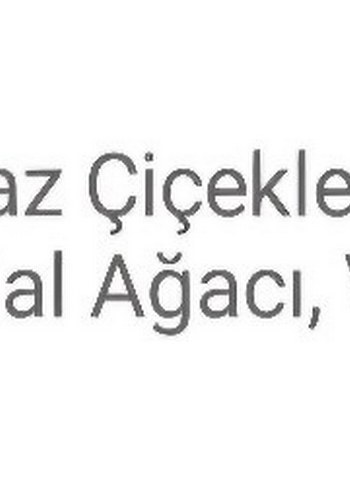 MAD Kadın Parfümü 100 ml Çiçeksi Koku - Görsel 5