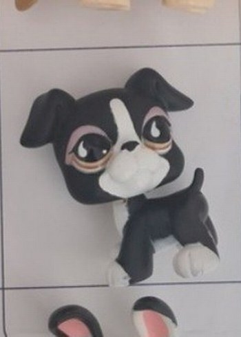 lps minişler