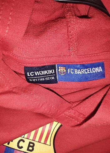LC Waikiki Çocuk sweatshirt