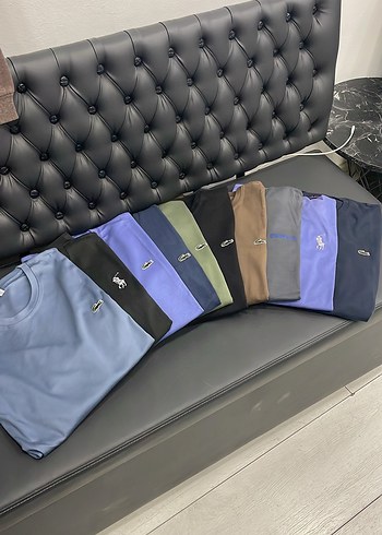 Erkek Kısa Kollu Çok Renkli Regular Fit Tişört