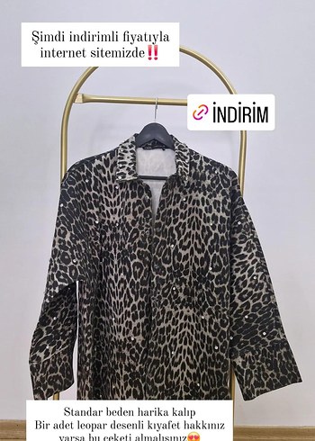 diğer Beden kahverengi Renk Leopar Desenli Taş Detaylı Kadın Ceket