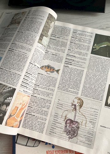 Larousse Ansiklopedik Sözlük Milliyet - Görsel 3