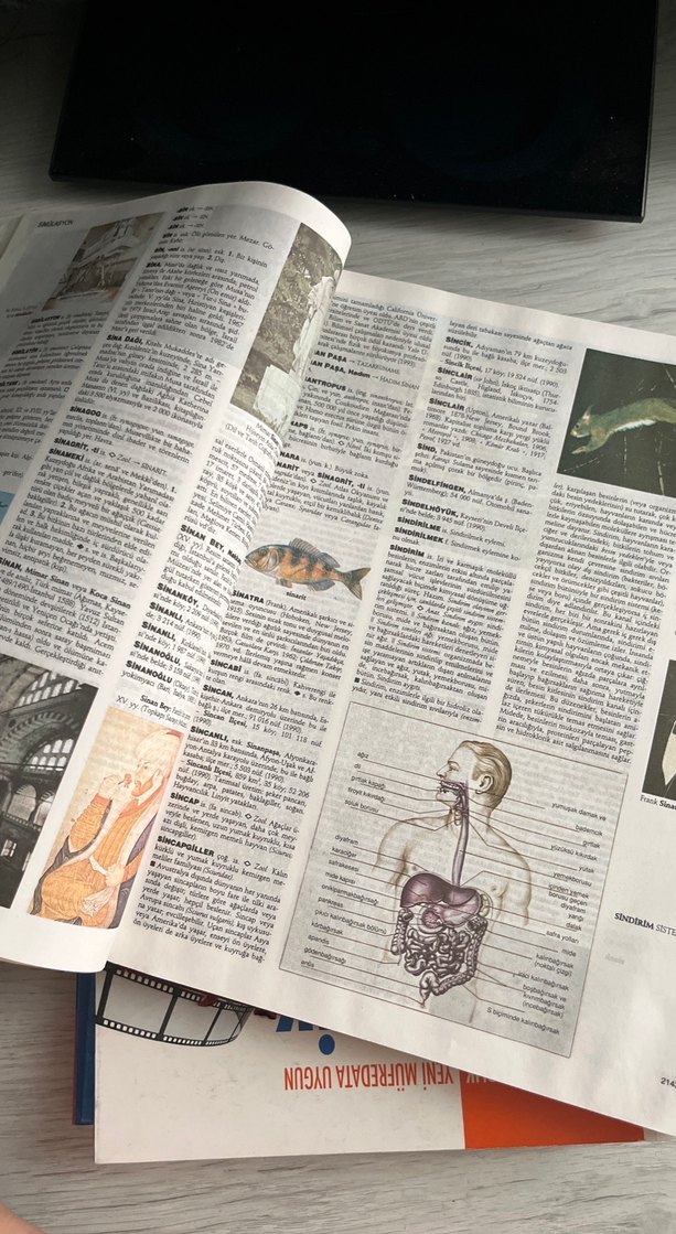 Larousse Ansiklopedik Sözlük Milliyet - Görsel 3