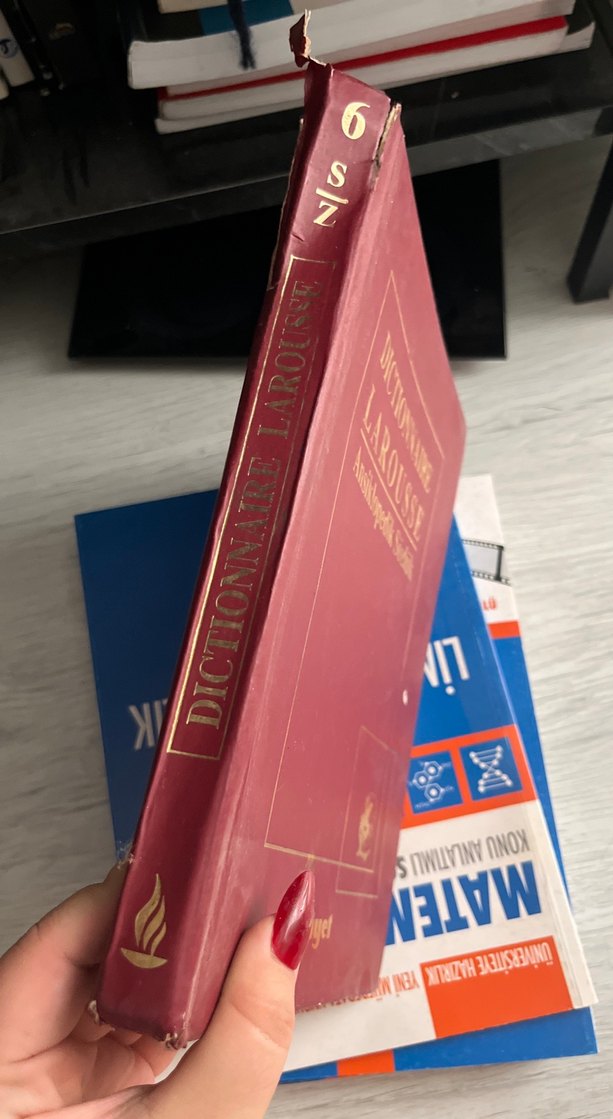 Larousse Ansiklopedik Sözlük Milliyet - Görsel 2