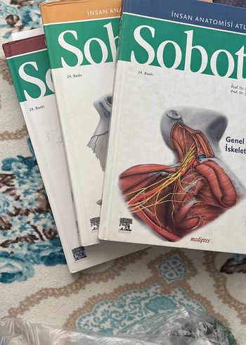 Sobotta İnsan Anatomisi Atlası Seti