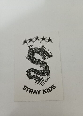  Beden Stray Kids Fotokart