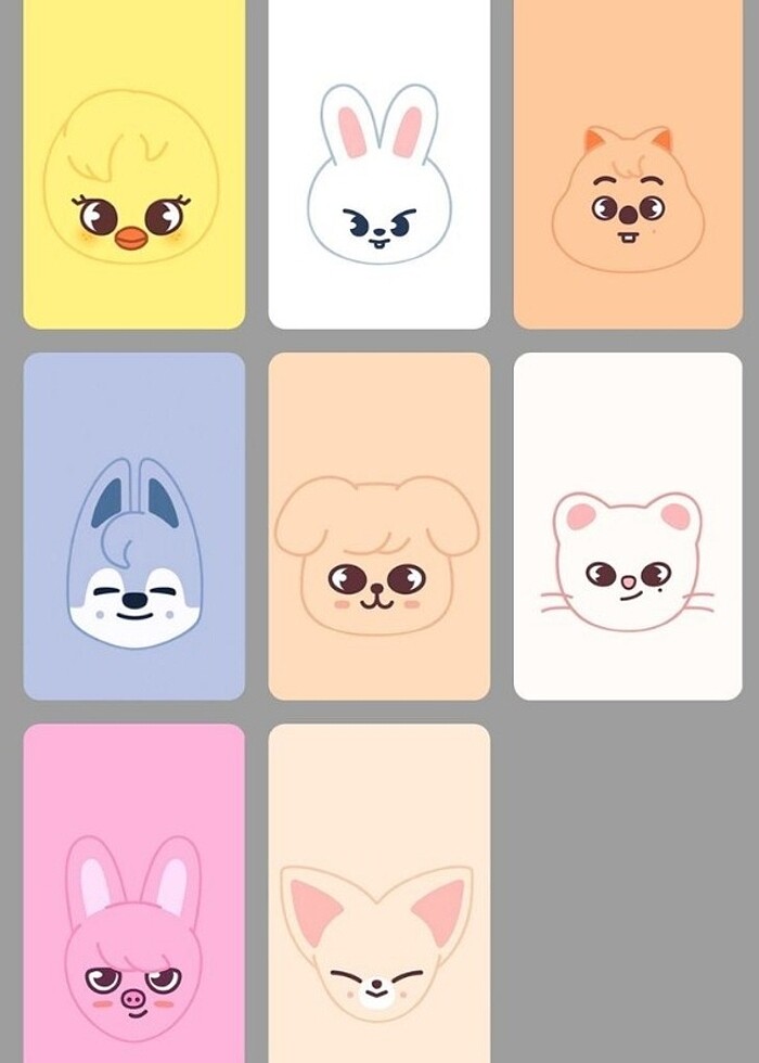 Stray kids potocart - Görsel 2