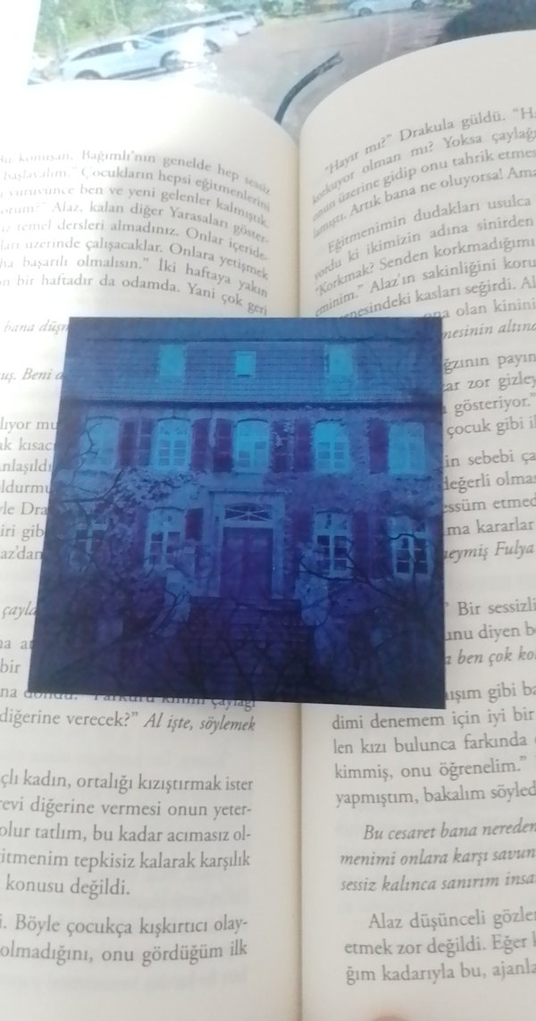 Yaralasar - Ephesus Roman - Görsel 2